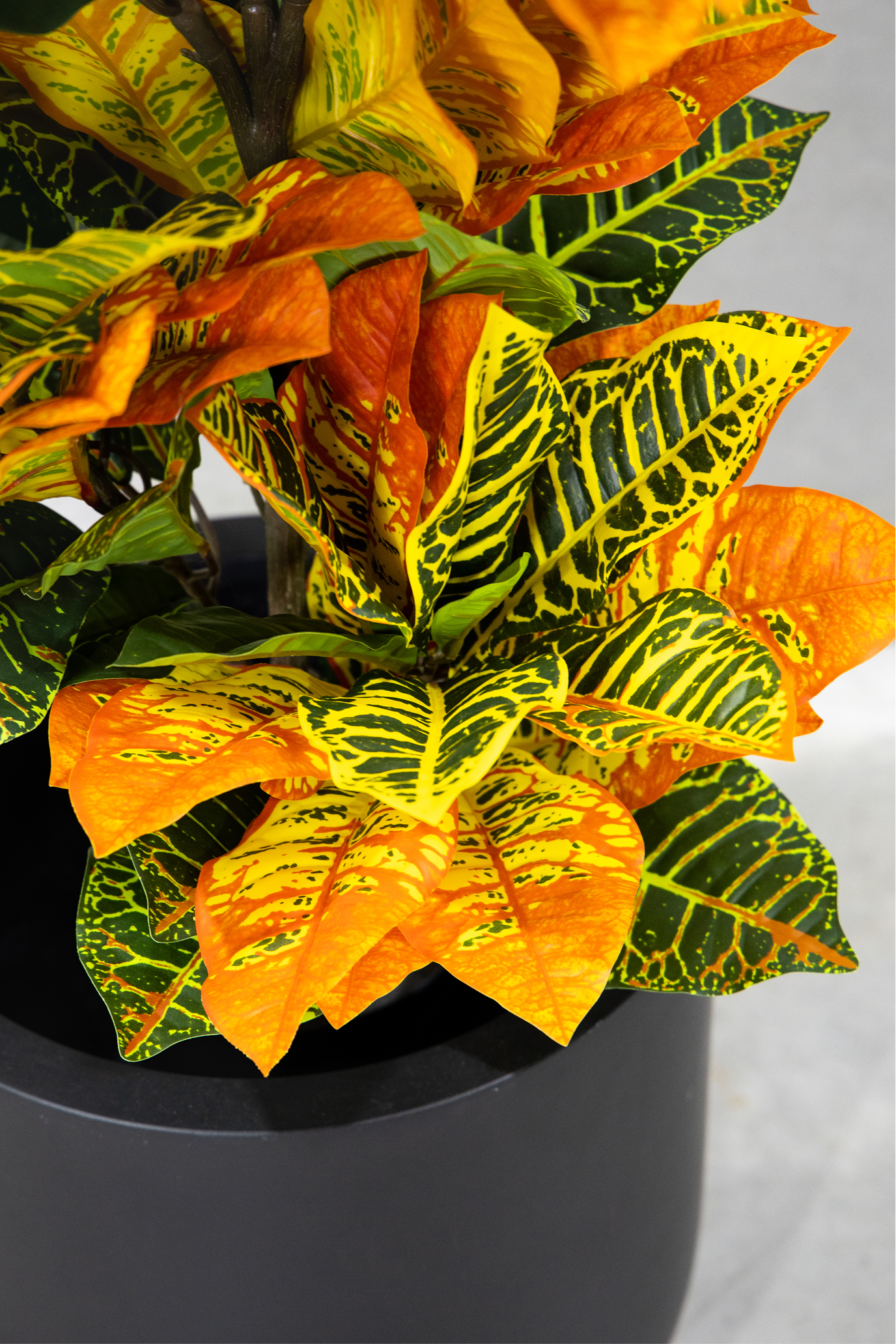 100cm Potted Artificial Croton
