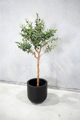 150cm Potted Artificial Olive Tree