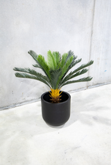 110cm Potted Artificial Cycas Palm