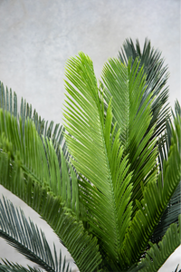 110cm Potted Artificial Cycas Palm