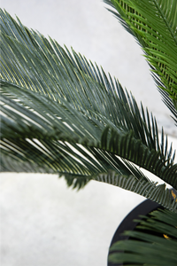 110cm Potted Artificial Cycas Palm