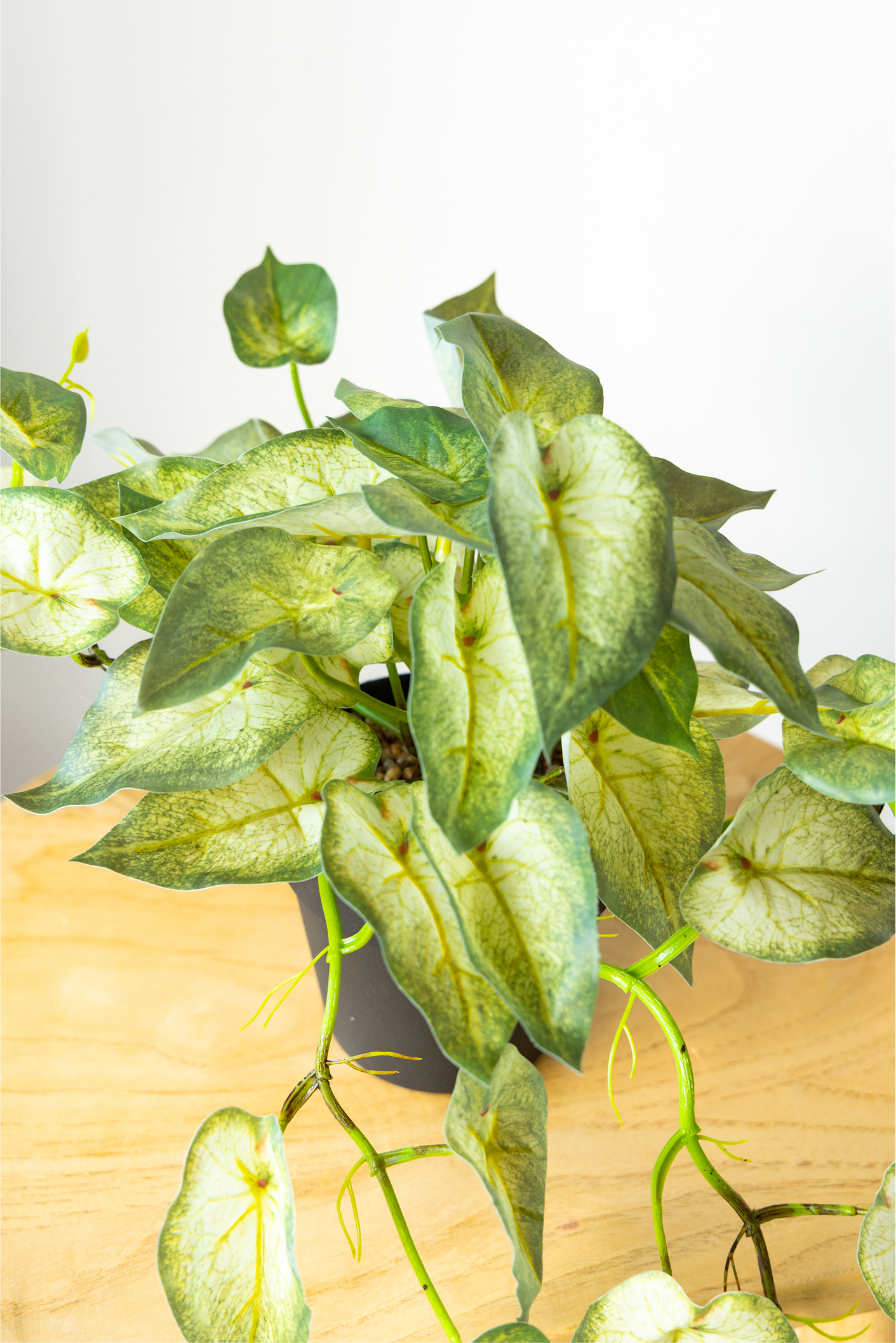 60cm Potted Artificial Pothos