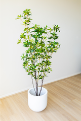 Potted Artificial Japanese Plant