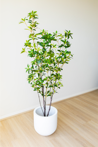 Potted Artificial Japanese Plant