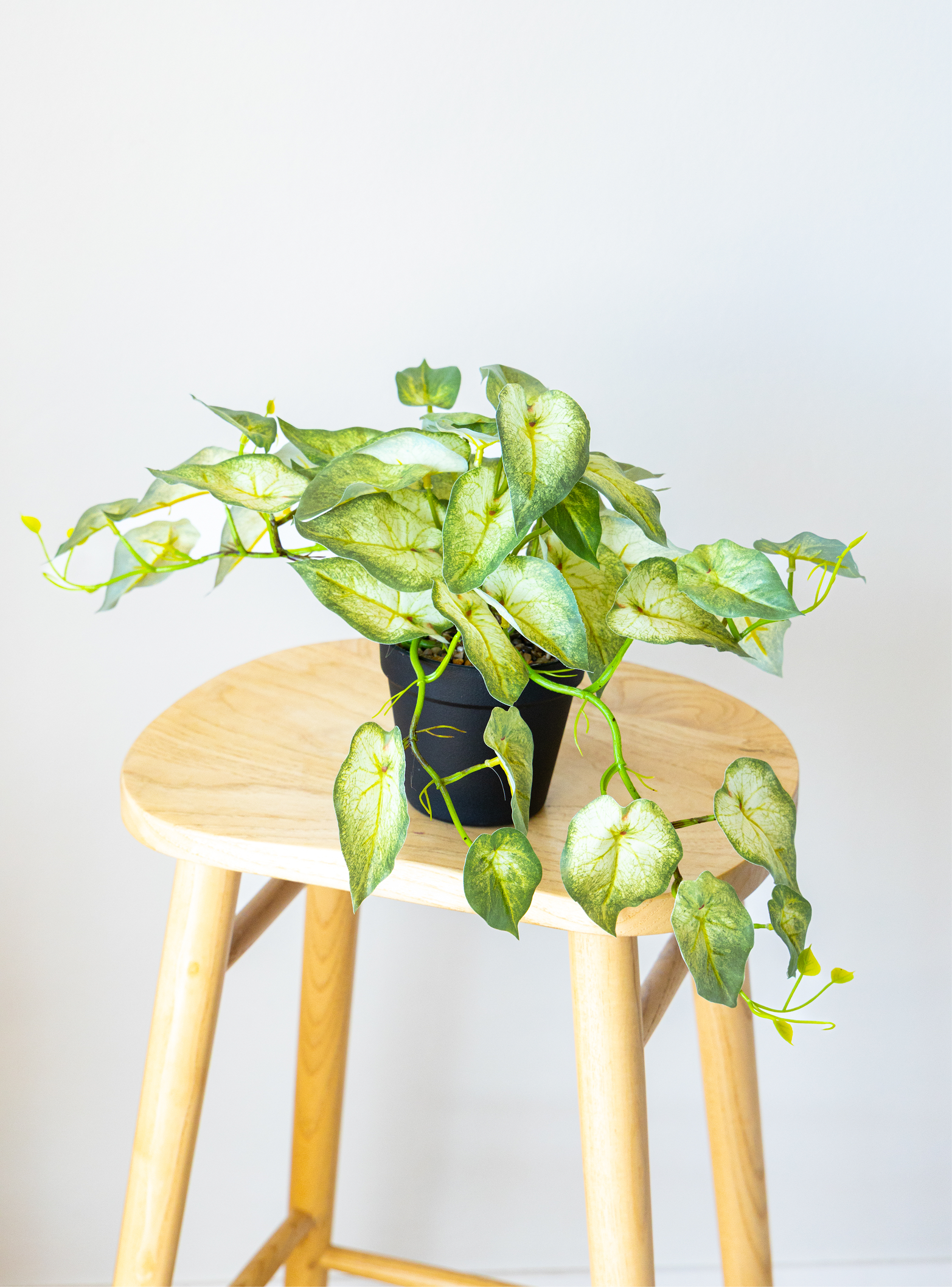 60cm Potted Artificial Pothos
