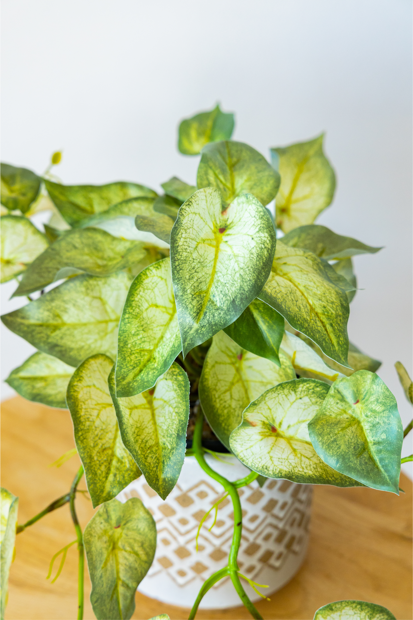60cm Potted Artificial Pothos