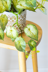 60cm Potted Artificial Pothos