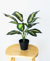 55cm Potted Artificial Small Plant