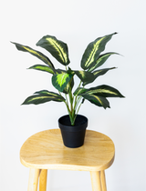 55cm Potted Artificial Small Plant