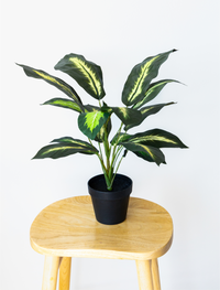 55cm Potted Artificial Small Plant