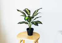55cm Potted Artificial Small Plant