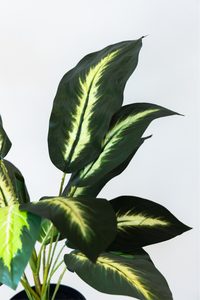 55cm Potted Artificial Small Plant