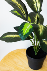 55cm Potted Artificial Small Plant