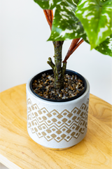 40cm Potted Artificial Arrowhead