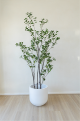 210cm Potted Artificial Japanese Plant