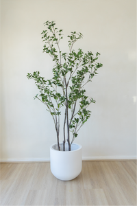 210cm Potted Artificial Japanese Plant