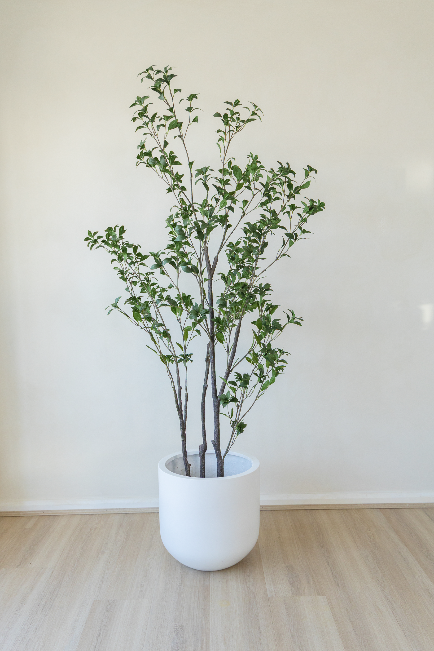 210cm Potted Artificial Japanese Plant
