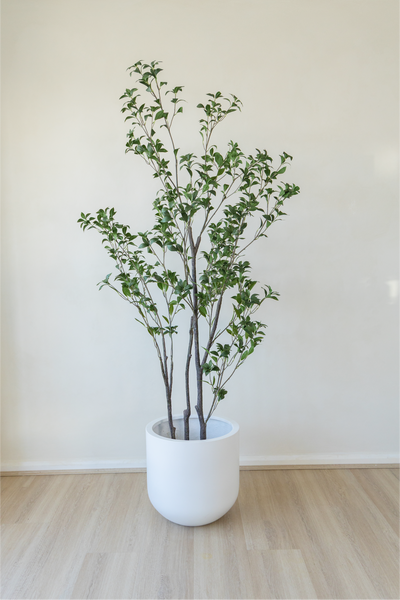 210cm Artificial Japanese Plant – Japandi Faux Plant – The Plant