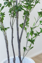 210cm Potted Artificial Japanese Plant