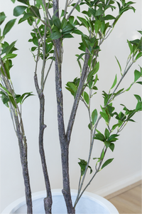 210cm Potted Artificial Japanese Plant