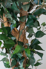 210cm Potted Artificial Ficus Tree
