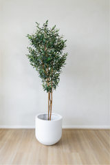 180cm Potted Artificial Olive Tree