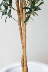 180cm Potted Artificial Olive Tree
