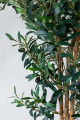 180cm Potted Artificial Olive Tree