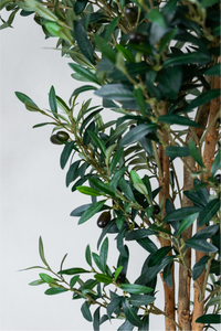 180cm Potted Artificial Olive Tree