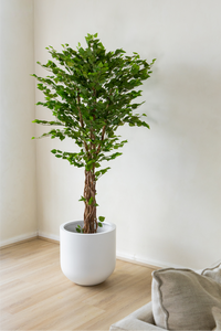 170cm Potted Artificial Birch Tree