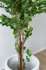 170cm Potted Artificial Birch Tree