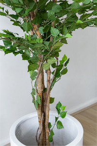 170cm Potted Artificial Birch Tree