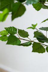 170cm Potted Artificial Birch Tree