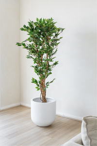 150cm Potted Artificial Ficus Tree