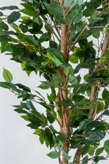 150cm Potted Artificial Ficus Tree