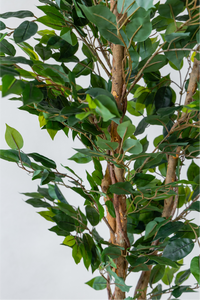150cm Potted Artificial Ficus Tree
