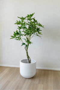 150cm Artificial Wealth Tree