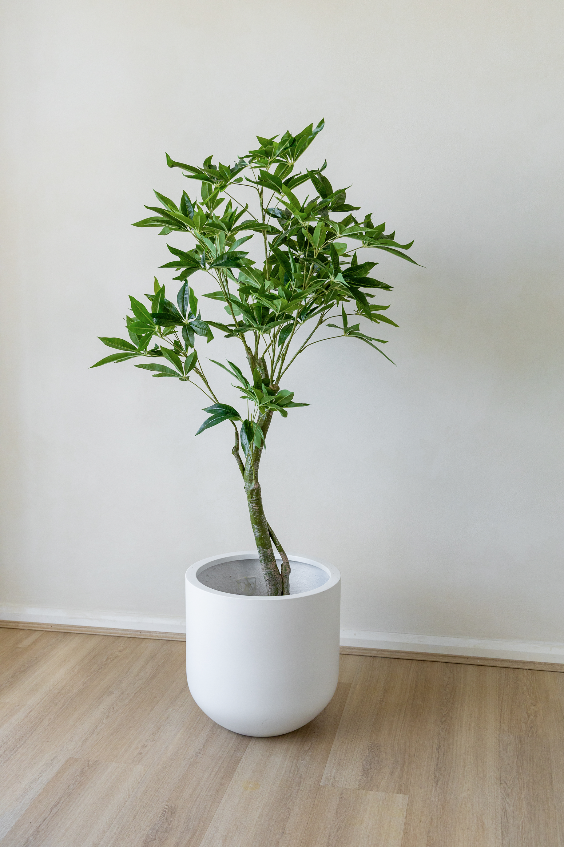 150cm Artificial Wealth Tree