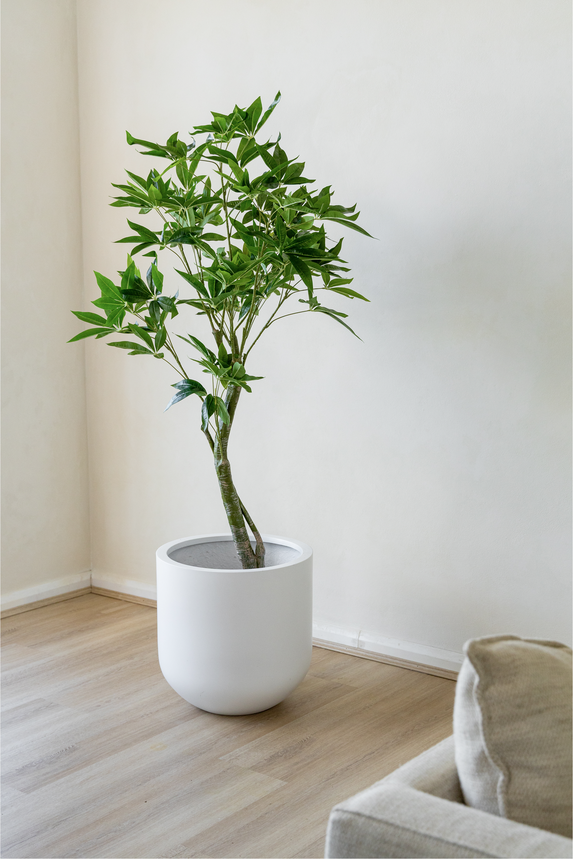150cm Artificial Wealth Tree