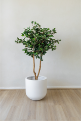 120cm Potted Artificial Ficus Tree