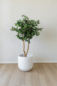 120cm Potted Artificial Ficus Tree