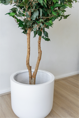 120cm Potted Artificial Ficus Tree