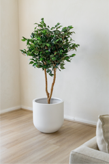 120cm Potted Artificial Ficus Tree