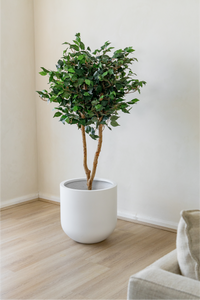 120cm Potted Artificial Ficus Tree
