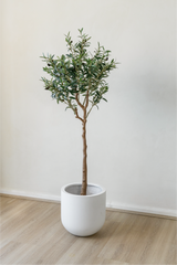 150cm Potted Artificial Olive Tree
