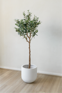 150cm Potted Artificial Olive Tree