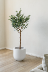 150cm Potted Artificial Olive Tree