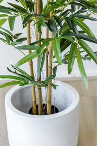 120cm Artificial Bamboo