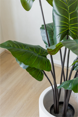 Potted Artificial Philodendron