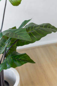 Potted Artificial Philodendron